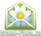 Логотип компании Доставка цветов Гранд Флора (ф-л г.Борисоглебск)